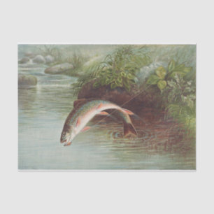Samuel Kilbourne   Leaping Brook Trout - 1874 Tissue Paper