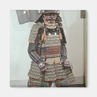 Samurai Warrior's Armour