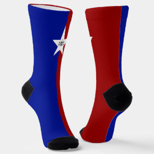 San Antonio (Texas) city flag Socks