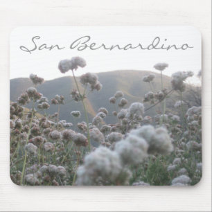 San Bernardino Wildflowers Mouse Pad