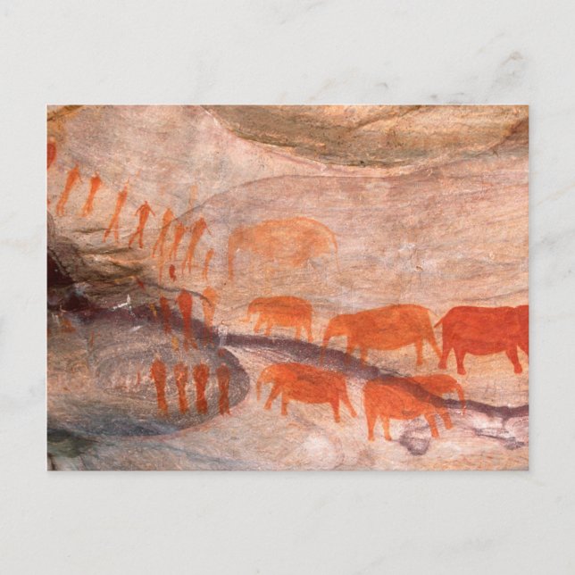 San, Bushman Rock Art, Cederberg Wilderness Postcard (Front)