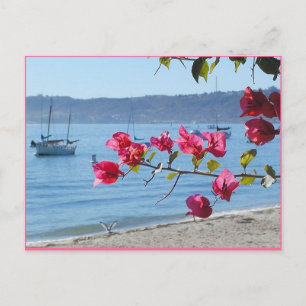 san diego beach postcard