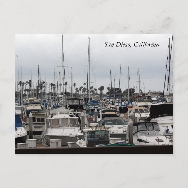 San Diego, California Postcard (Front)