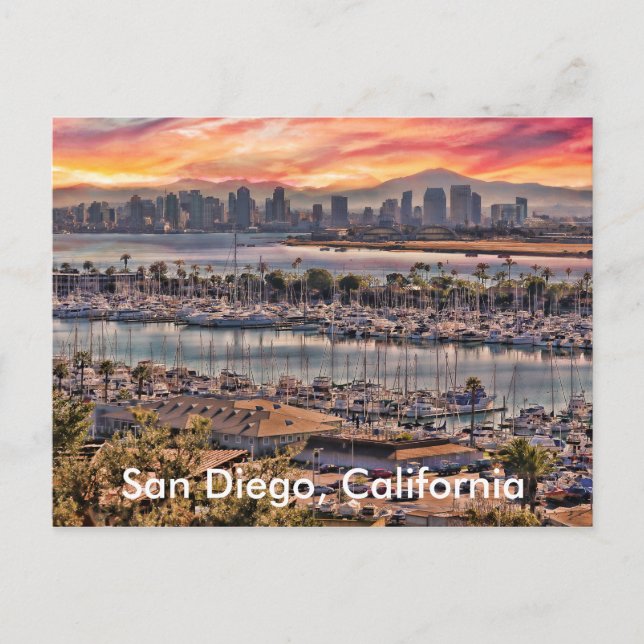 San Diego, California Postcard (Front)