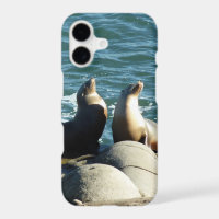 San Diego Sea Lions