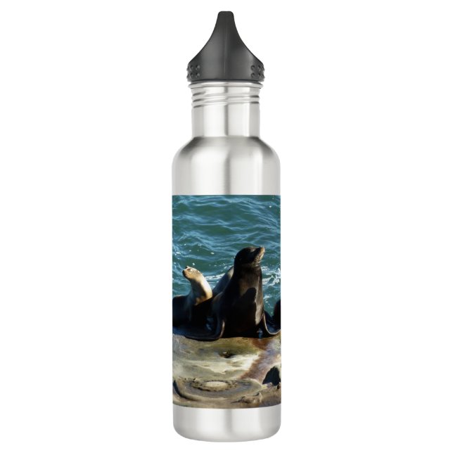 San Diego Sea Lions 710 Ml Water Bottle (Left)