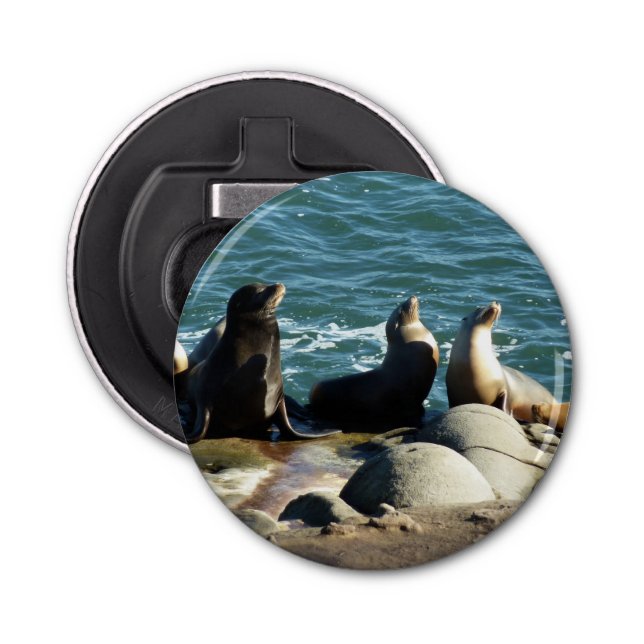San Diego Sea Lions Bottle Opener (Front)