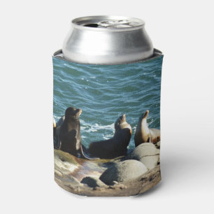 San Diego Sea Lions Can Cooler