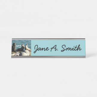 San Diego Sea Lions Desk Name Plate