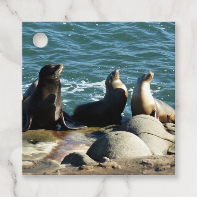 San Diego Sea Lions Favour Tags (Front)