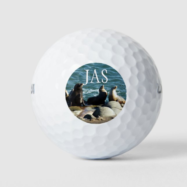 San Diego Sea Lions Golf Balls (Front)