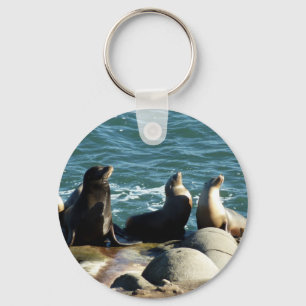 San Diego Sea Lions Key Ring