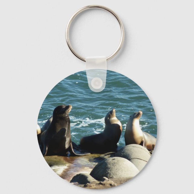 San Diego Sea Lions Key Ring (Front)