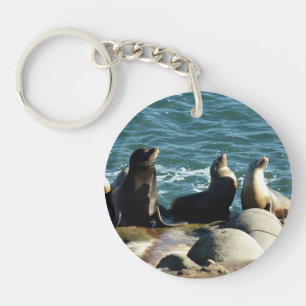 San Diego Sea Lions Key Ring