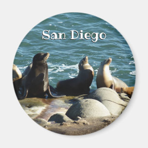 San Diego Sea Lions Magnet