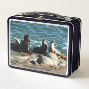 San Diego Sea Lions Metal Lunch Box