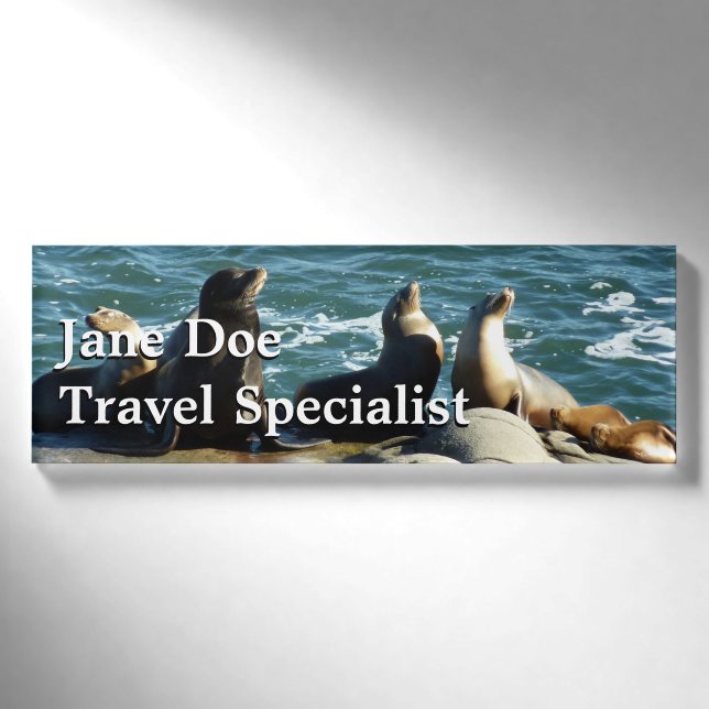 San Diego Sea Lions Name Tag (Front)