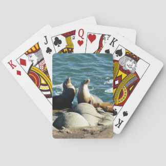 San Diego Sea Lions Playing Cards