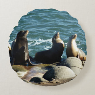 San Diego Sea Lions Round Cushion
