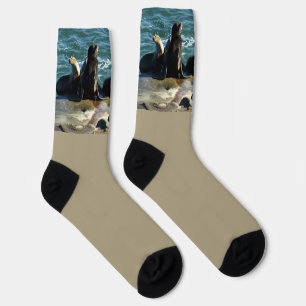 San Diego Sea Lions Socks