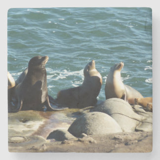 San Diego Sea Lions Stone Coaster