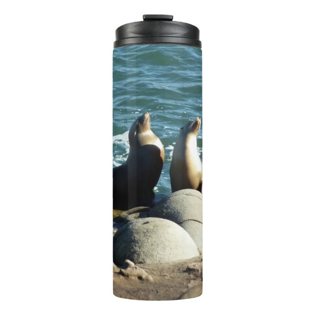 San Diego Sea Lions Thermal Tumbler (Front)