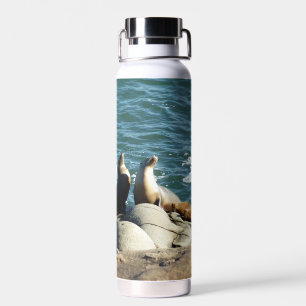 San Diego Sea Lions Water Bottle