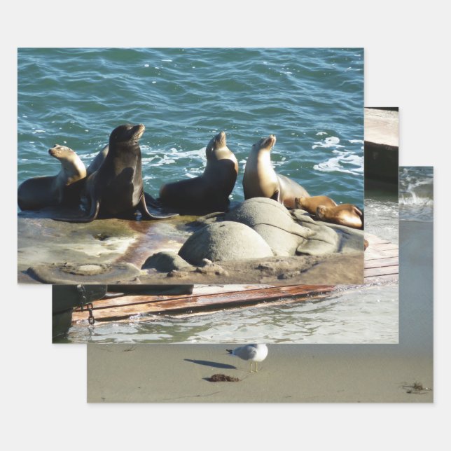 San Diego Sea Lions Wrapping Paper Sheet (Set)