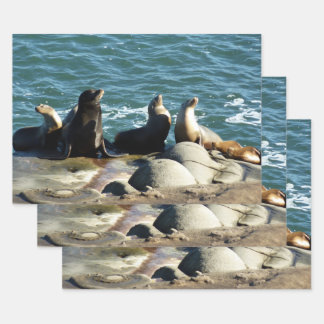 San Diego Sea Lions Wrapping Paper Sheet