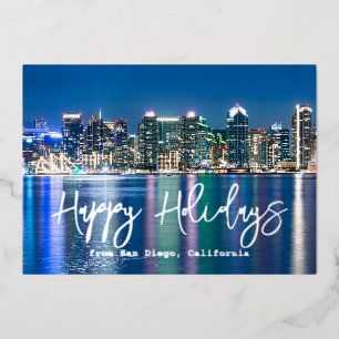San Diego Skyline Silver Custom Family Photo