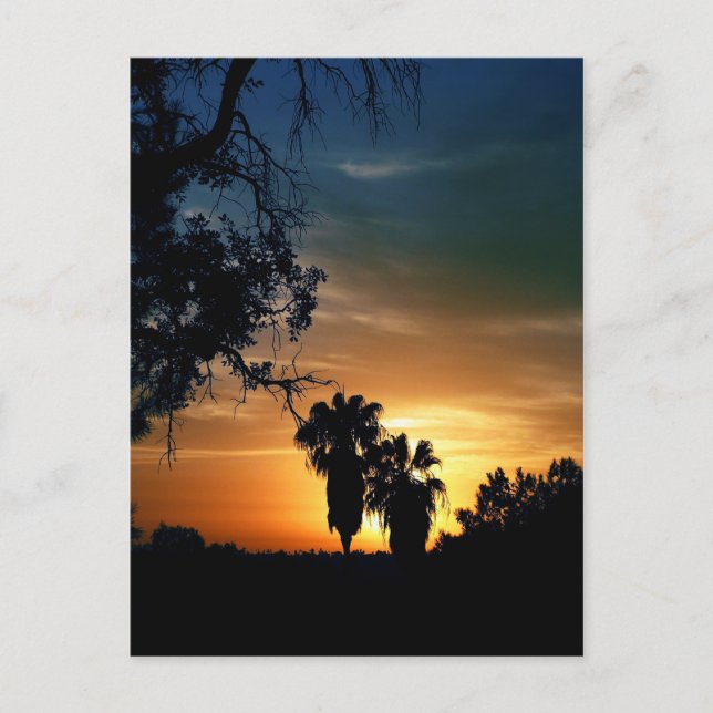 San Diego Sunset Postcard (Front)