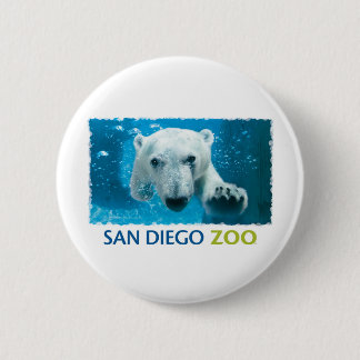 San Diego Zoo Polar Bear 6 Cm Round Badge