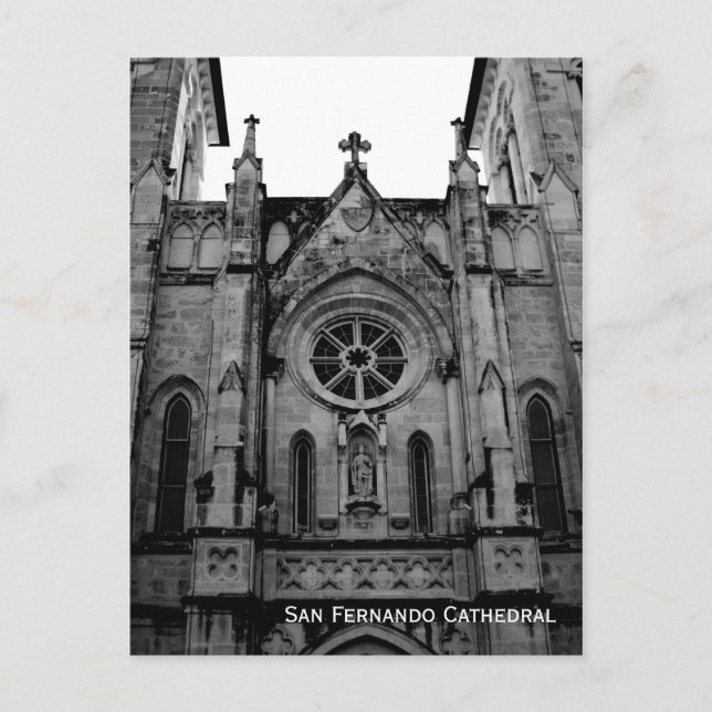 San Fernando Cathedral Postcard Photo (Front)