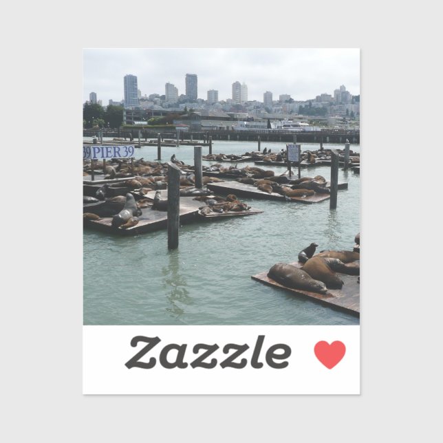 San Francisco and Pier 39 Sea Lions City Skyline (Sheet)