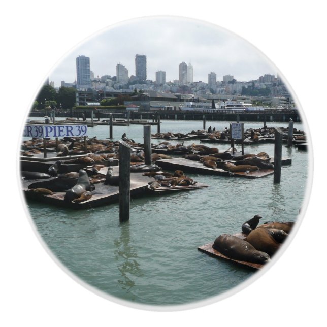 San Francisco and Pier 39 Sea Lions City Skyline Ceramic Knob (Front)