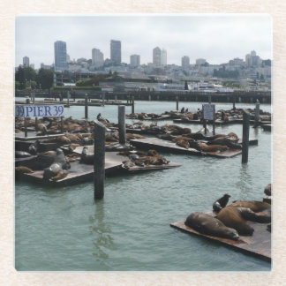 San Francisco and Pier 39 Sea Lions City Skyline Glass Coaster