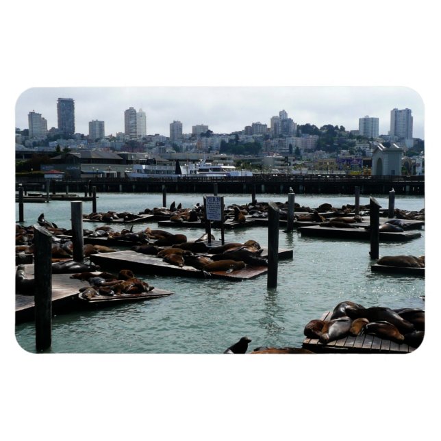 San Francisco and Pier 39 Sea Lions City Skyline Magnet (Horizontal)