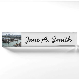 San Francisco and Pier 39 Sea Lions City Skyline Nameplate