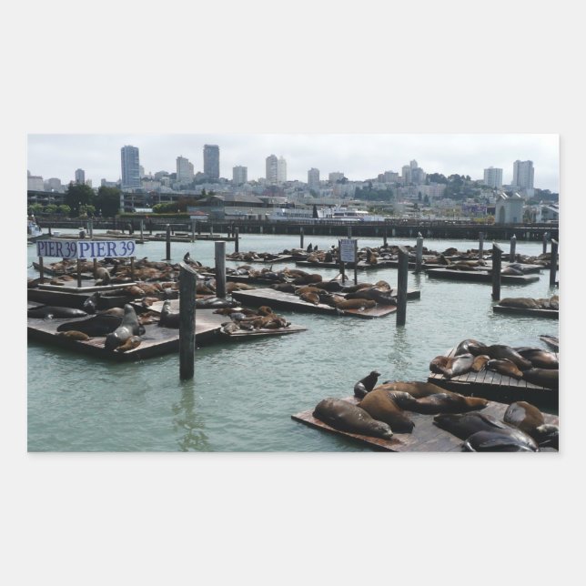 San Francisco and Pier 39 Sea Lions City Skyline Rectangular Sticker (Front)