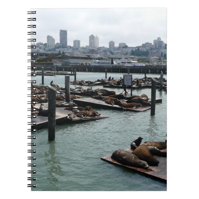 San Francisco and Pier 39 Sea Lions City Skyline Spiral Notebook (Front)