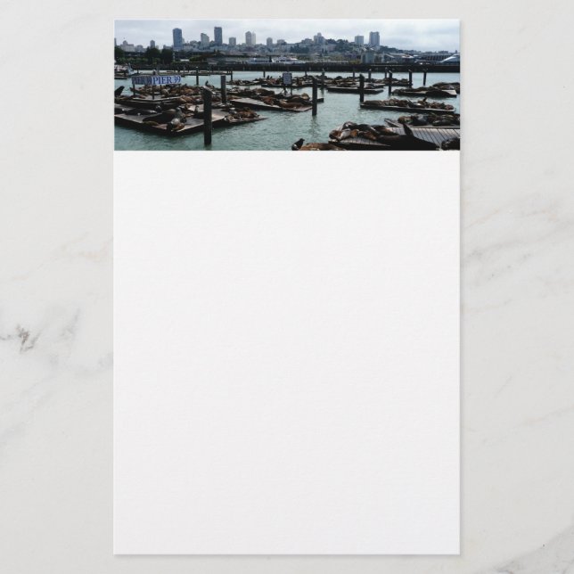 San Francisco and Pier 39 Sea Lions City Skyline Stationery (Front)