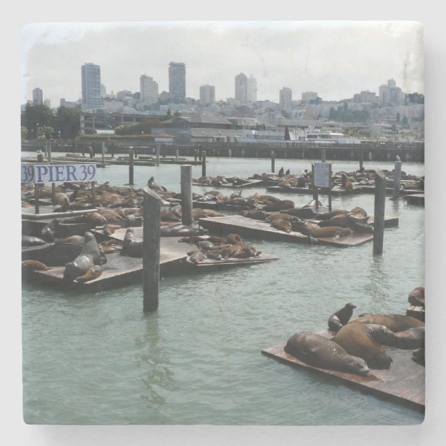 San Francisco and Pier 39 Sea Lions City Skyline Stone Coaster (Front)
