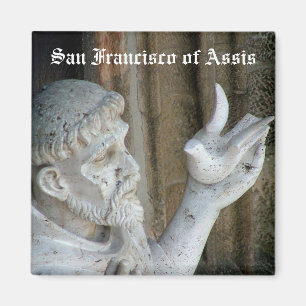 San Francisco and the dove Magnet