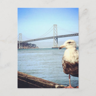 San Francisco Bay Bridge Seagull Postcard