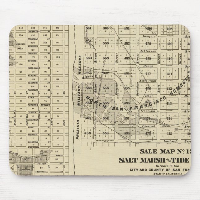 San Francisco Bay Salt Marsh 2 Mouse Pad (Front)