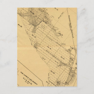San Francisco Bay Salt Marsh Postcard