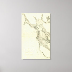 San Francisco Bay showing San Andreas Rift Canvas Print