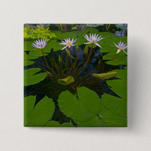 San Francisco Californias Golden Gate Park and 15 Cm Square Badge