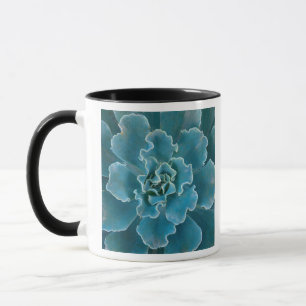 San Francisco Californias Golden Gate Park and Mug