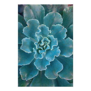 San Francisco Californias Golden Gate Park and Photo Print